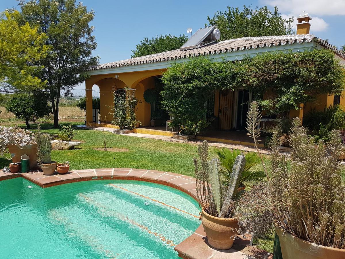 Finca La Gallina BlancaAlhaurín el Grande エクステリア 写真