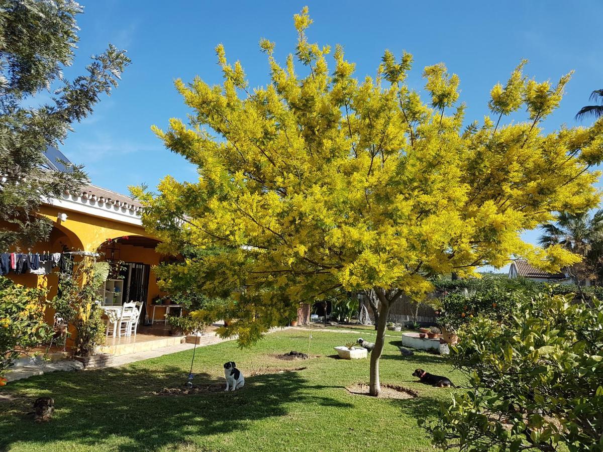 Finca La Gallina BlancaAlhaurín el Grande エクステリア 写真