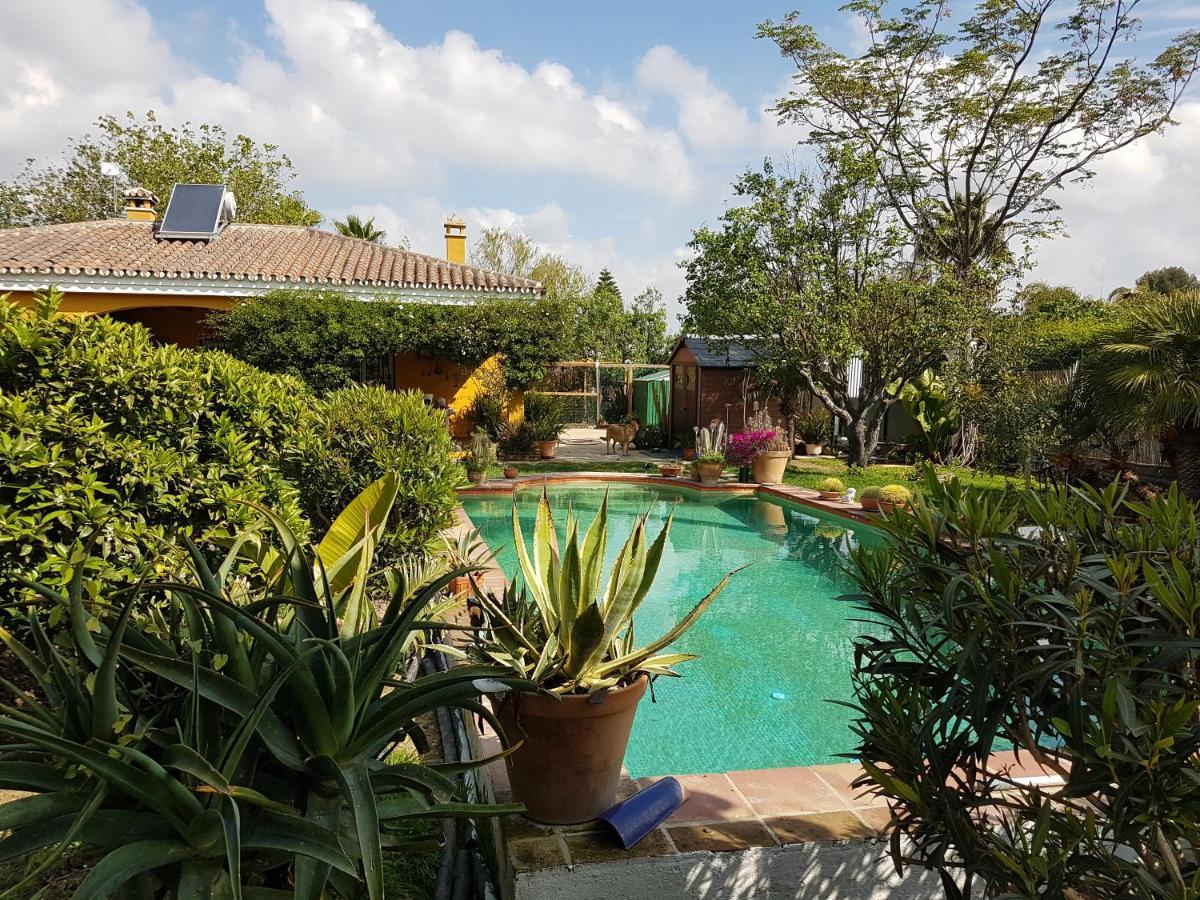 Finca La Gallina BlancaAlhaurín el Grande エクステリア 写真